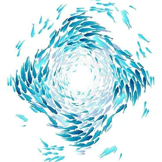 mosaDx4OAQ.jpeg?type=w556