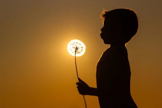 mosadr69AD.jpeg?type=w556