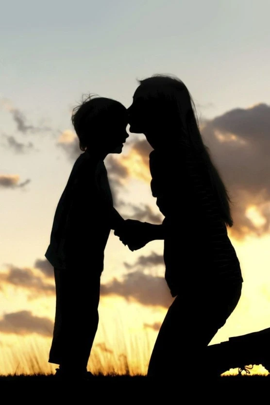 mosaPZ1cir.jpeg?type=w556