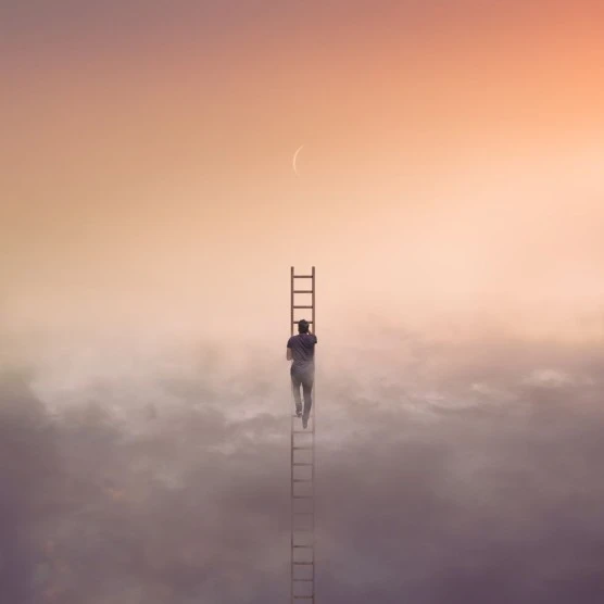 mosasPsg6C.jpeg?type=w556