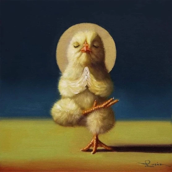 mosa6VJOxo.jpeg?type=w556