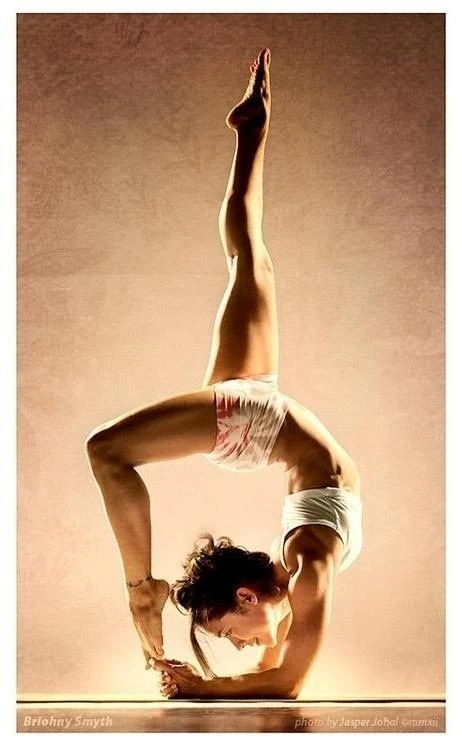 mosaetdkpy.jpeg?type=w556