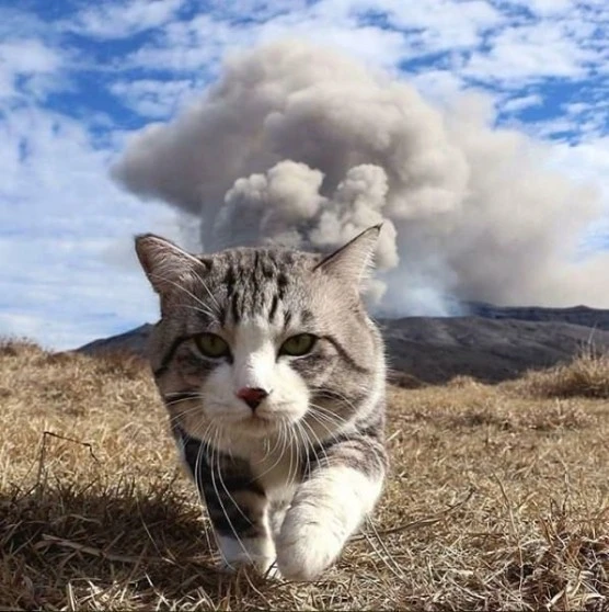 mosaFXsUib.jpeg?type=w556