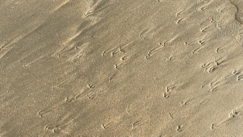 1450560310.gif?type=w1