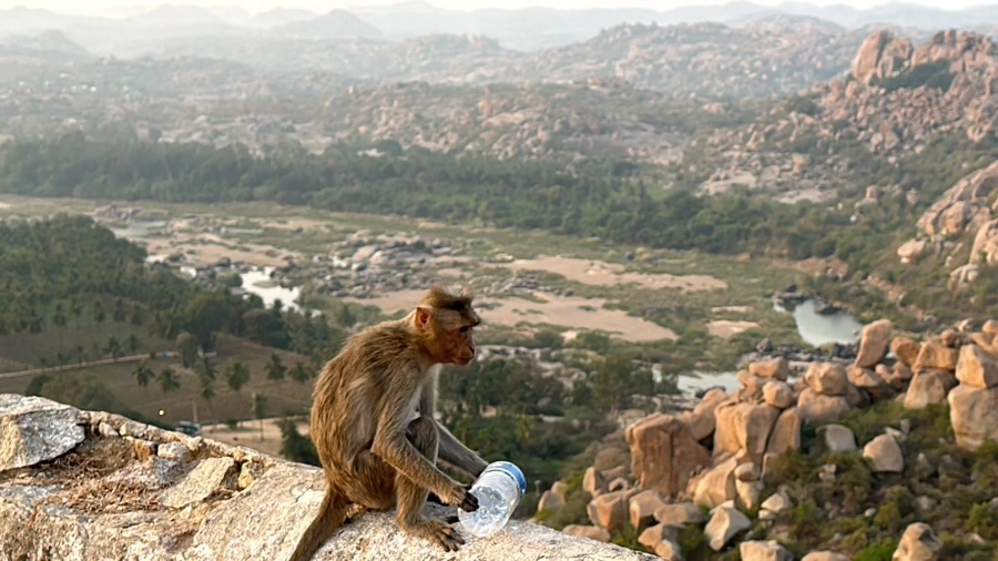 IMG_7108.JPG?type=w1