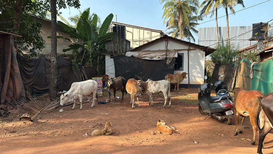 IMG_5037.JPG?type=w1