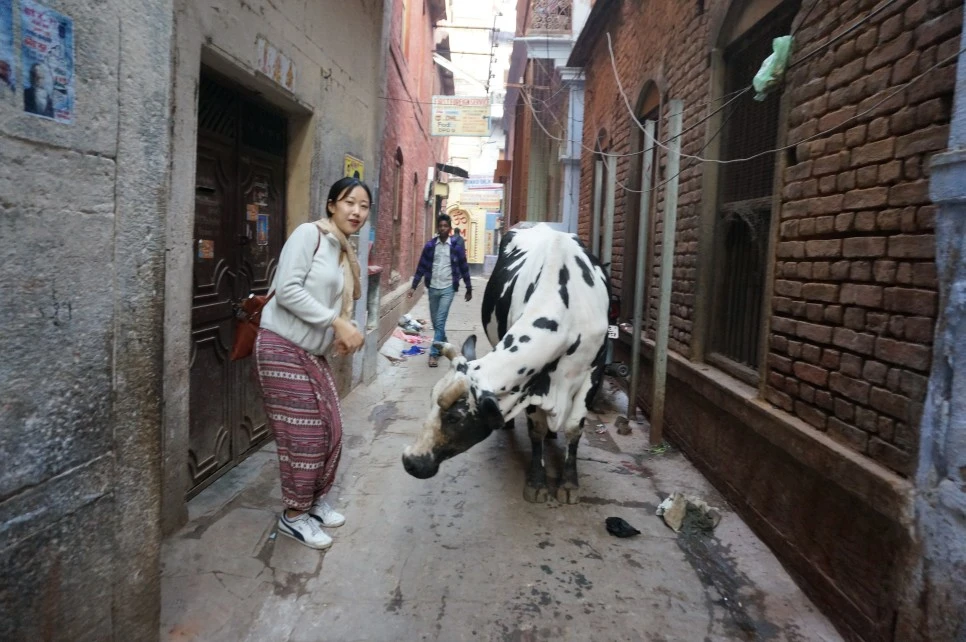 DSC02488.JPG?type=w966