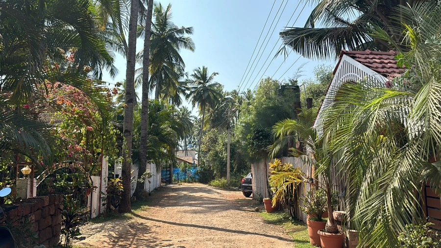 IMG_6424.JPG?type=w1