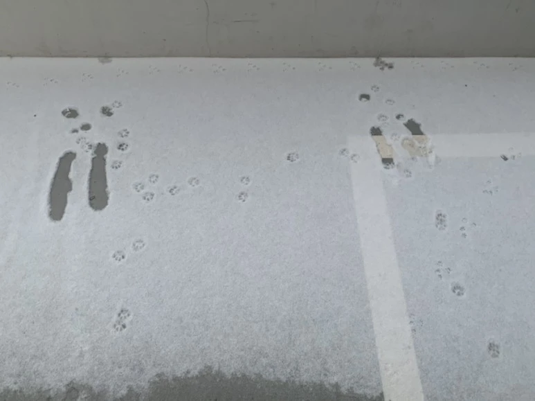 IMG_2634.jpg?type=w773