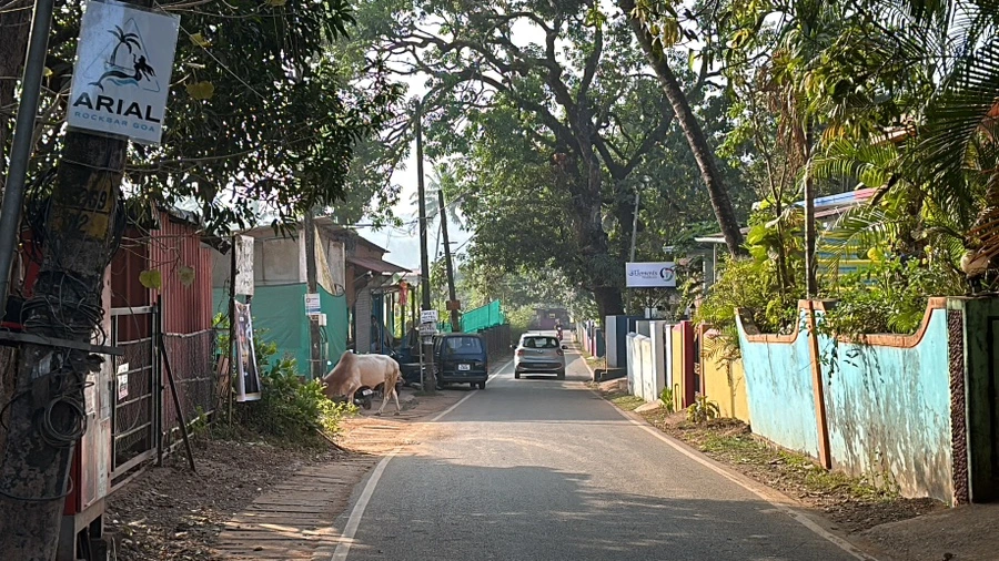 IMG_5026.JPG?type=w1