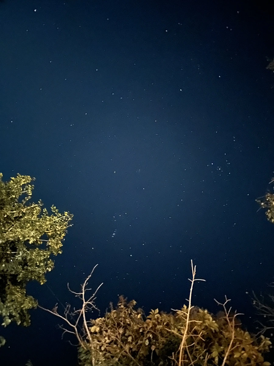 IMG_6328.JPG?type=w1