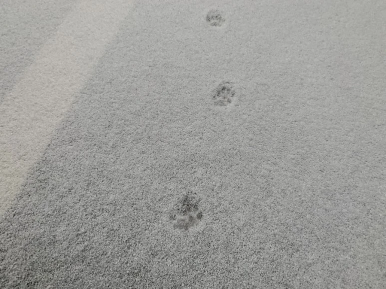 IMG_2622.jpg?type=w773