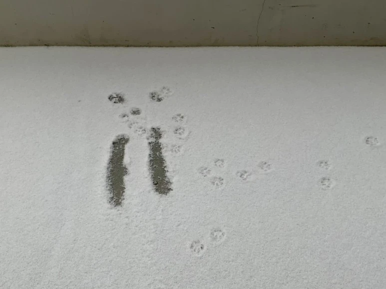 IMG_2625.jpg?type=w773