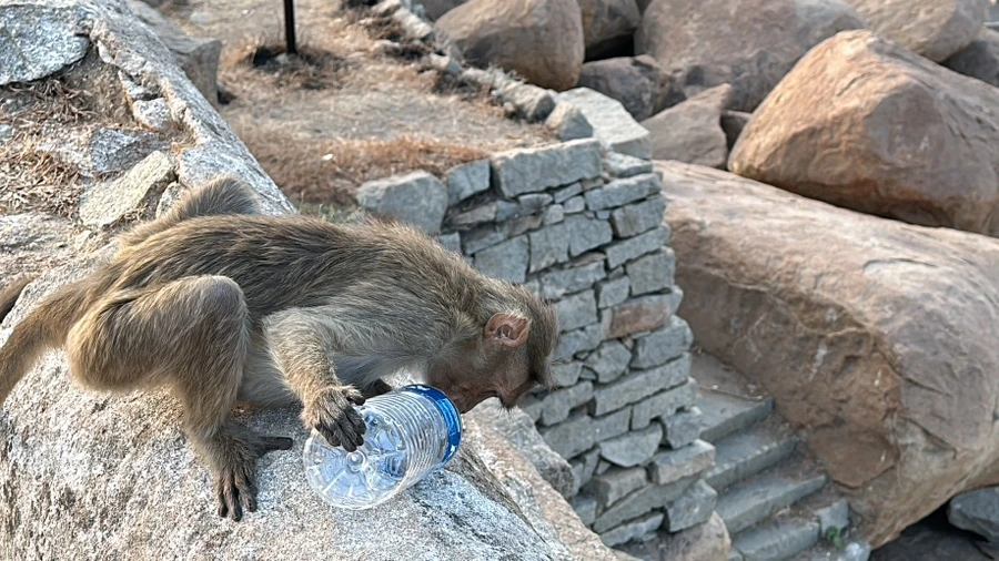 IMG_7107.JPG?type=w1