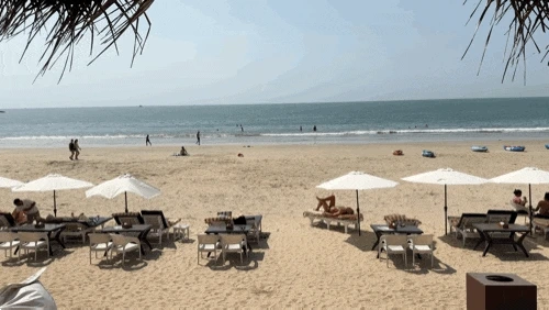 2473828847.gif?type=w1