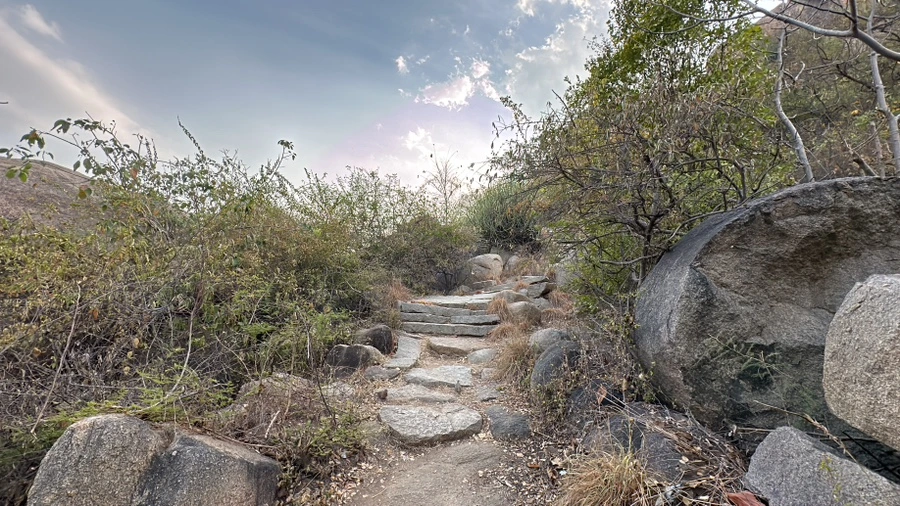 IMG_6943.JPG?type=w1