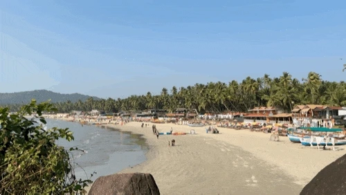 52474577.gif?type=w1