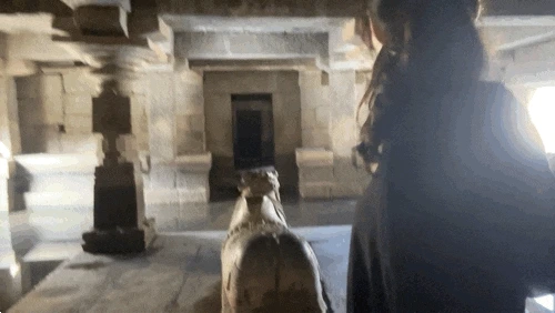 3422977005.gif?type=w1