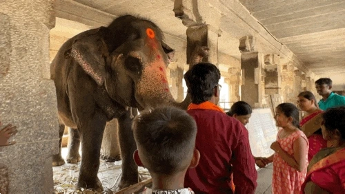 332789082.gif?type=w1