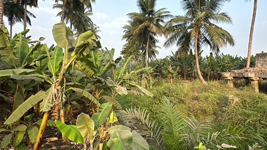 IMG_7226.JPG?type=w1