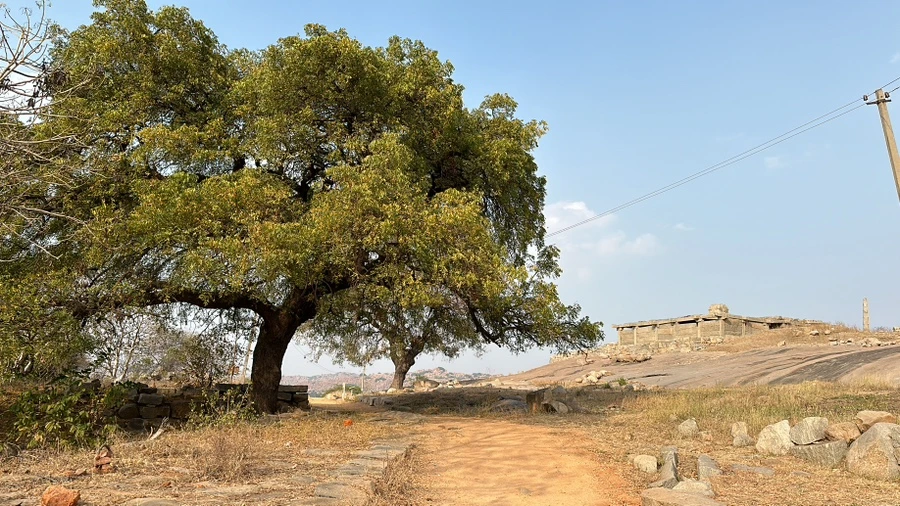 IMG_7712.JPG?type=w1