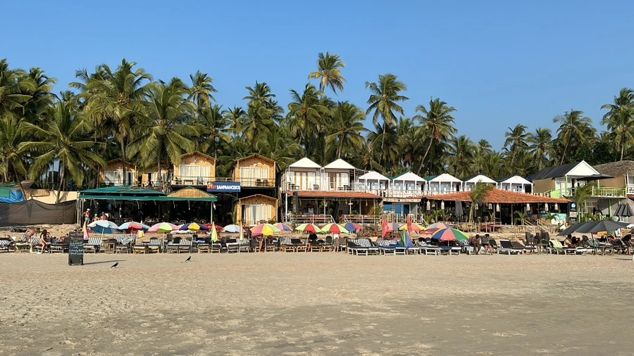 IMG_6516.JPG?type=w1