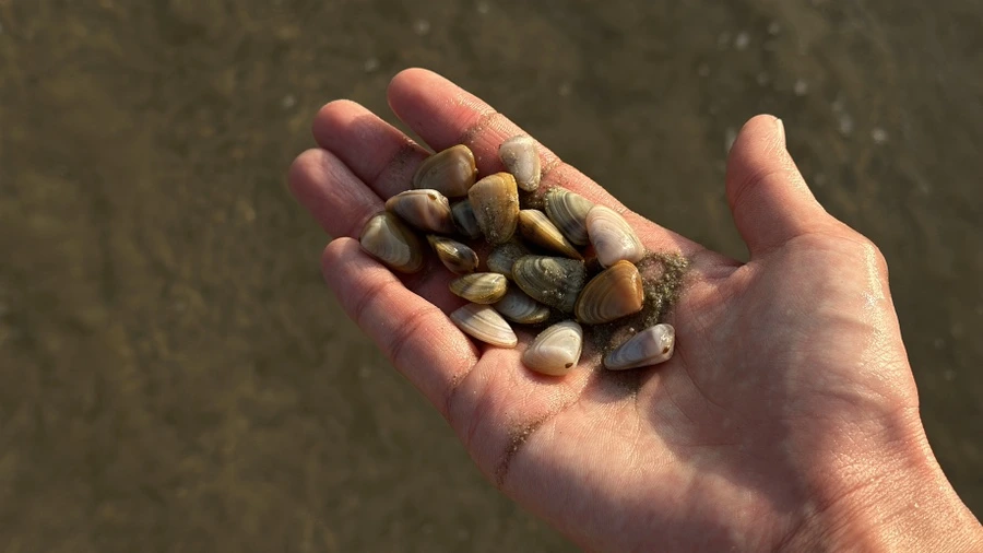 IMG_6537.JPG?type=w1