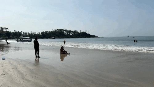 2886219371.gif?type=w1