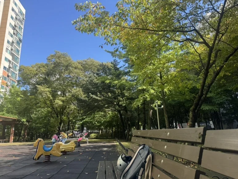 IMG%EF%BC%BF2470.jpg?type=w773