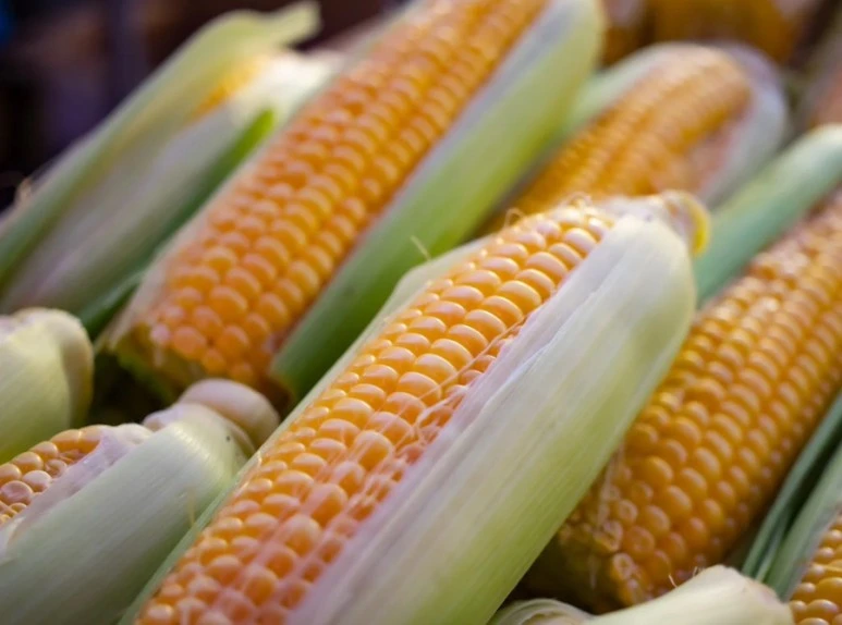 IMG_2402.jpg?type=w773