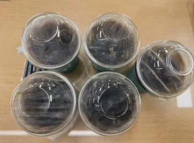 366EDA8B-ED6D-46C6-99E2-324972C76F7C.jpg?type=w386