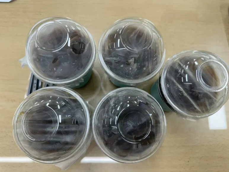 IMG_9159.jpg?type=w773