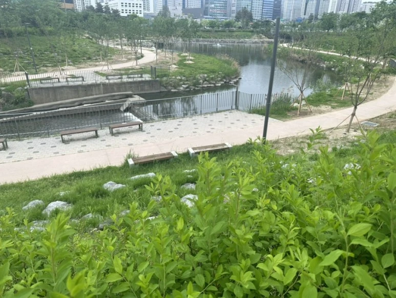 IMG_8062.jpg?type=w773