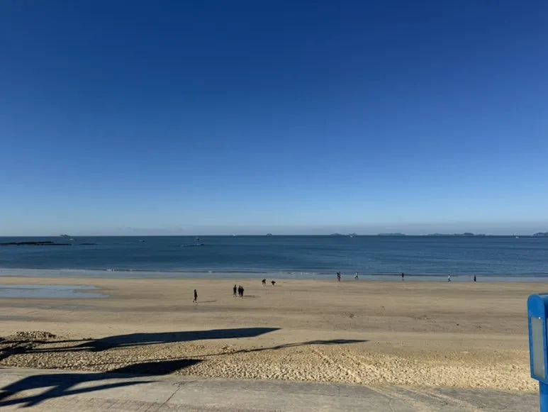 IMG_3381.jpg?type=w773