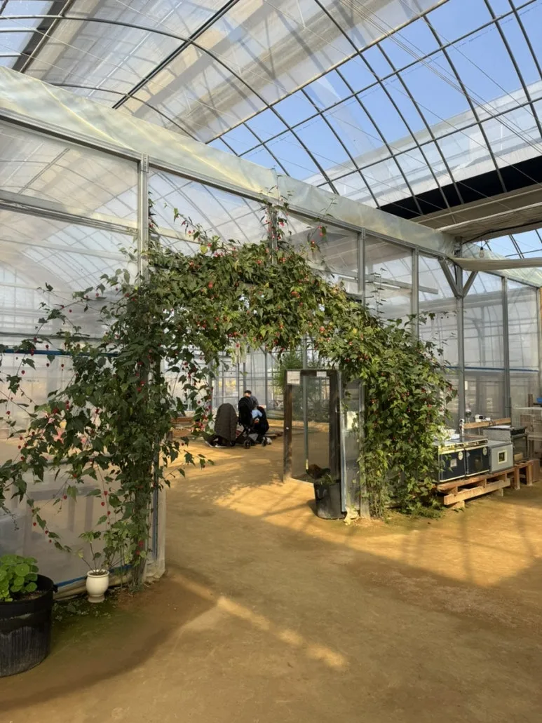 IMG%EF%BC%BF3216.jpg?type=w773