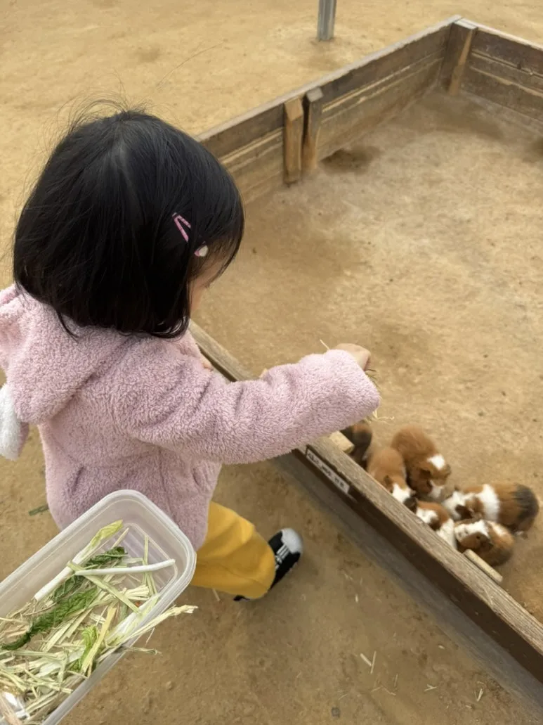 IMG%EF%BC%BF3204.jpg?type=w773