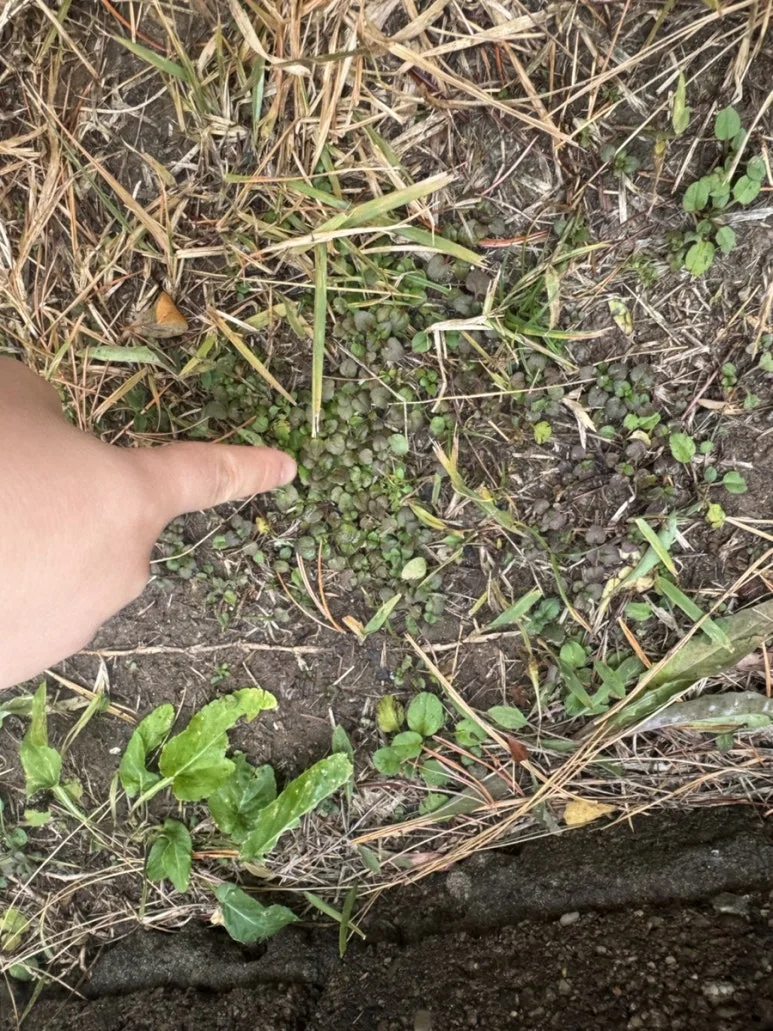 IMG%EF%BC%BF3446.jpg?type=w773