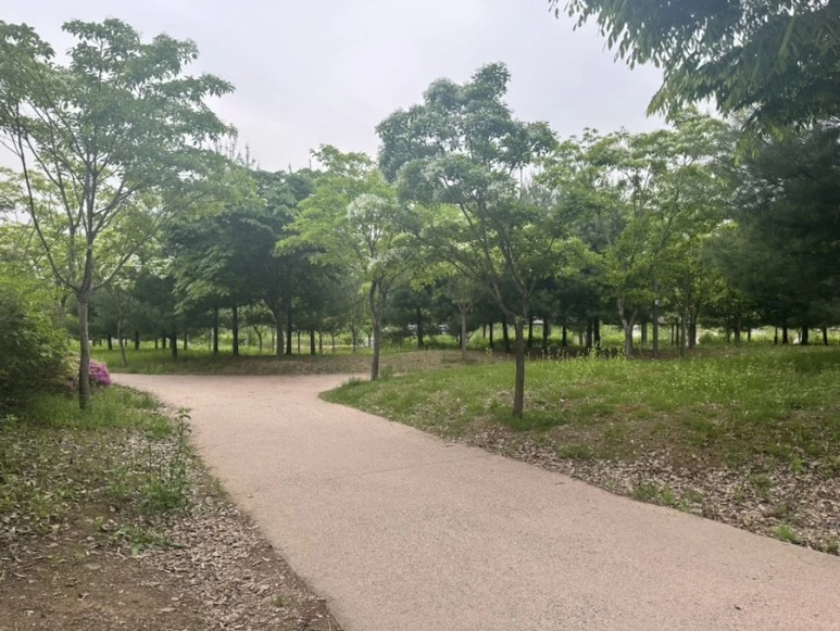 IMG_8061.jpg?type=w773