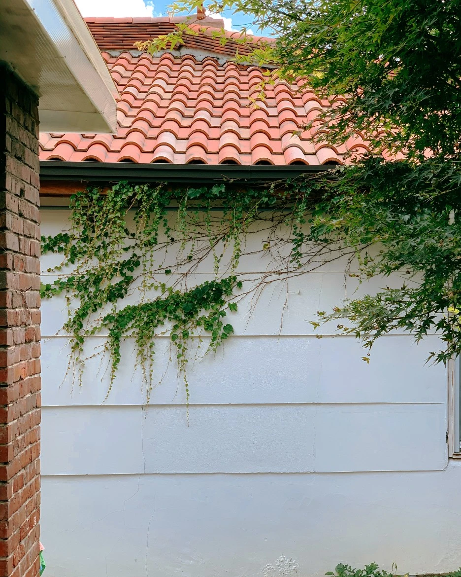 KakaoTalk_Photo_2020-08-17-16-44-21.jpeg?type=w1