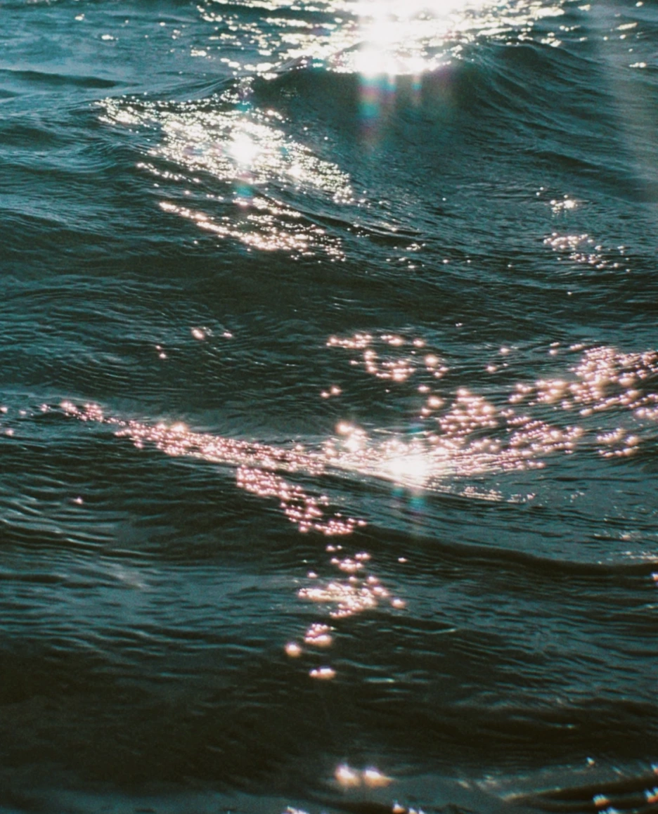 KakaoTalk_Photo_2020-08-23-16-48-31-3.png?type=w1