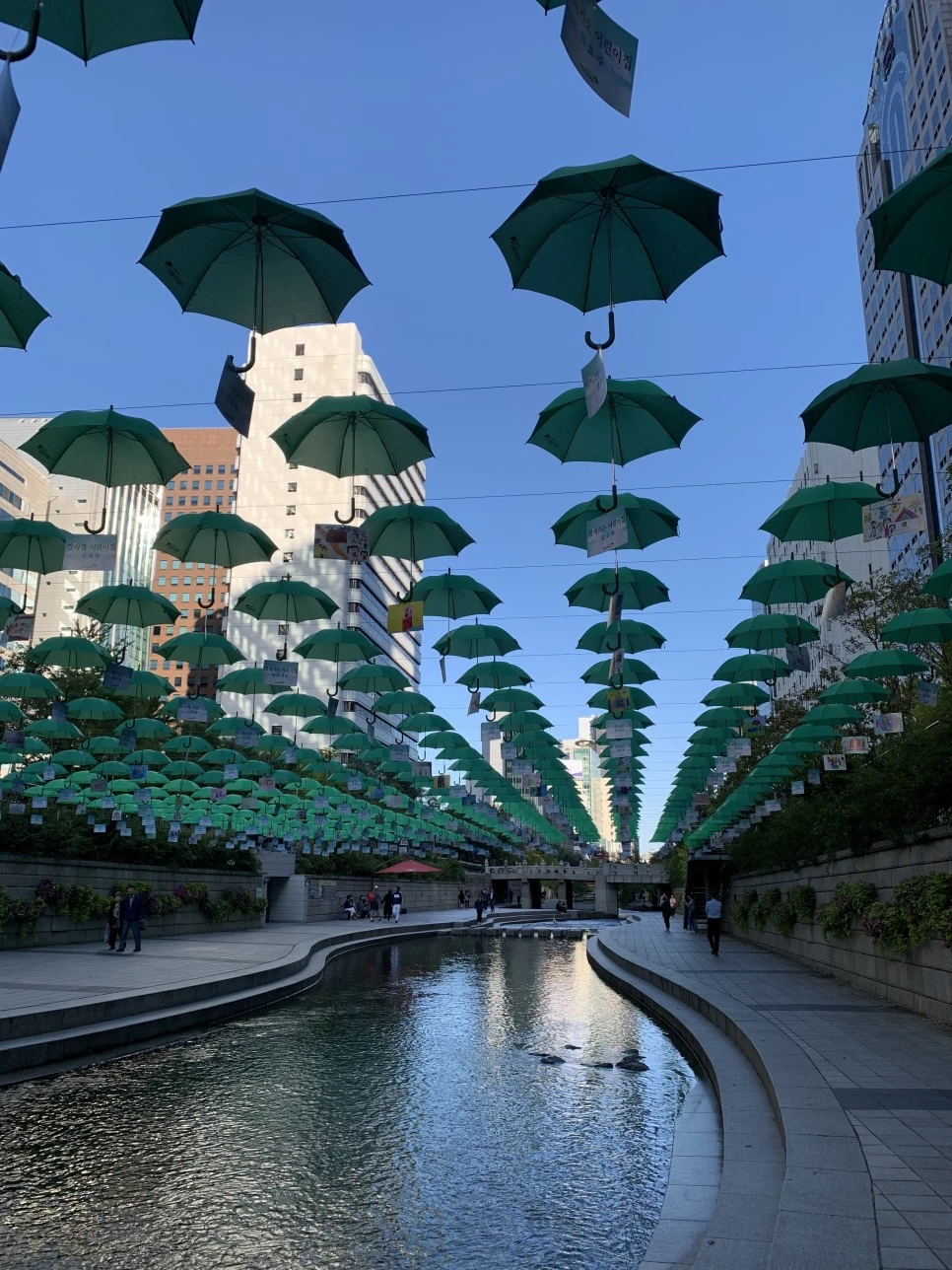 KakaoTalk_20201104_152325182.jpg?type=w966