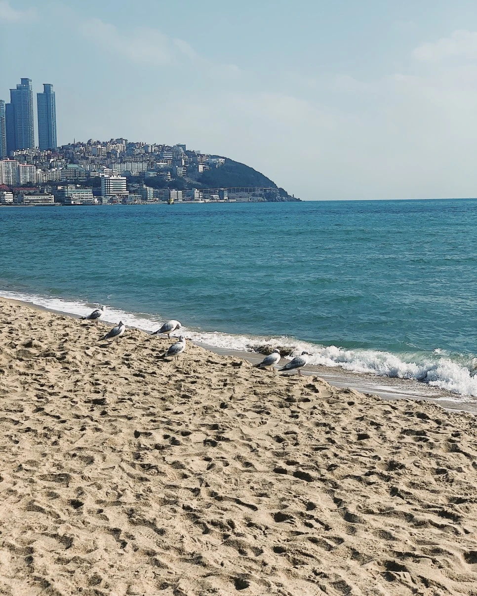 KakaoTalk_20200823_151237967_07.jpg?type=w966