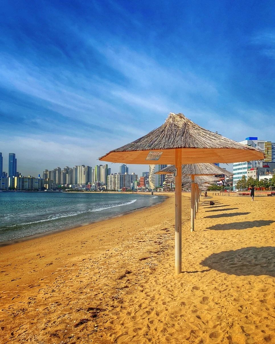 KakaoTalk_20201104_151942305_04.jpg?type=w966