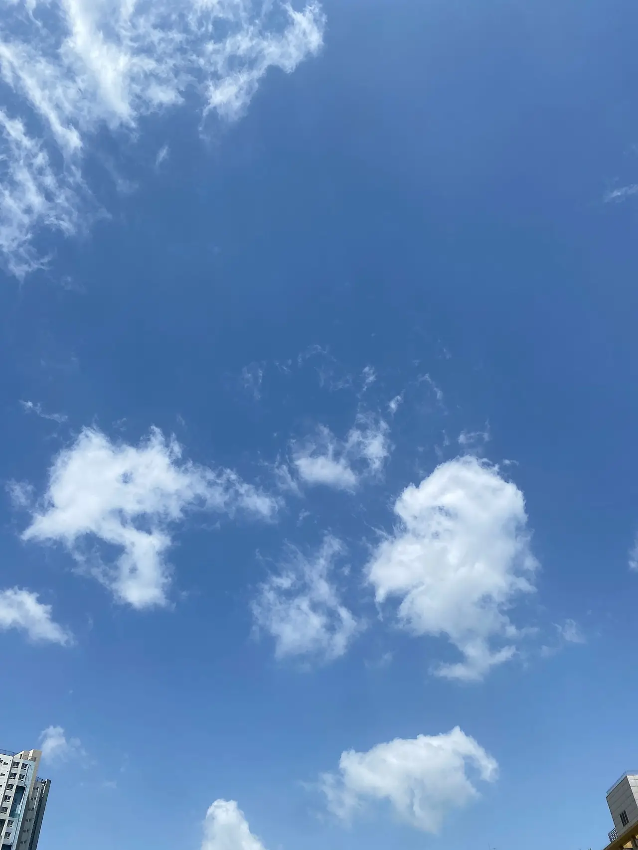 IMG_4010.JPG?type=w1600