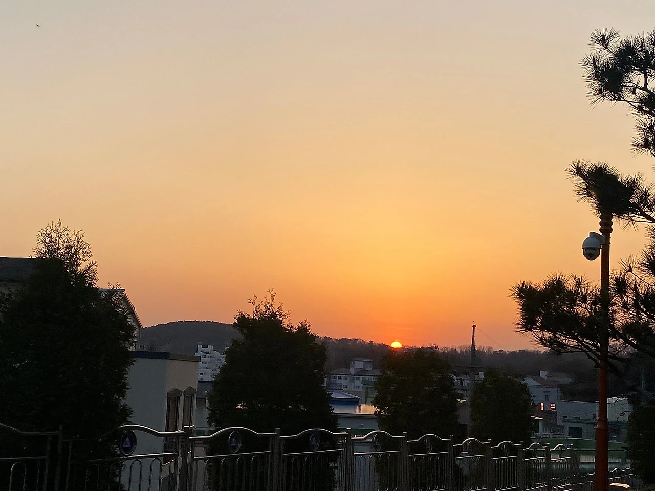 D7E87FB9-0EBE-4E82-B164-3B262055910E.jpeg?type=w1600