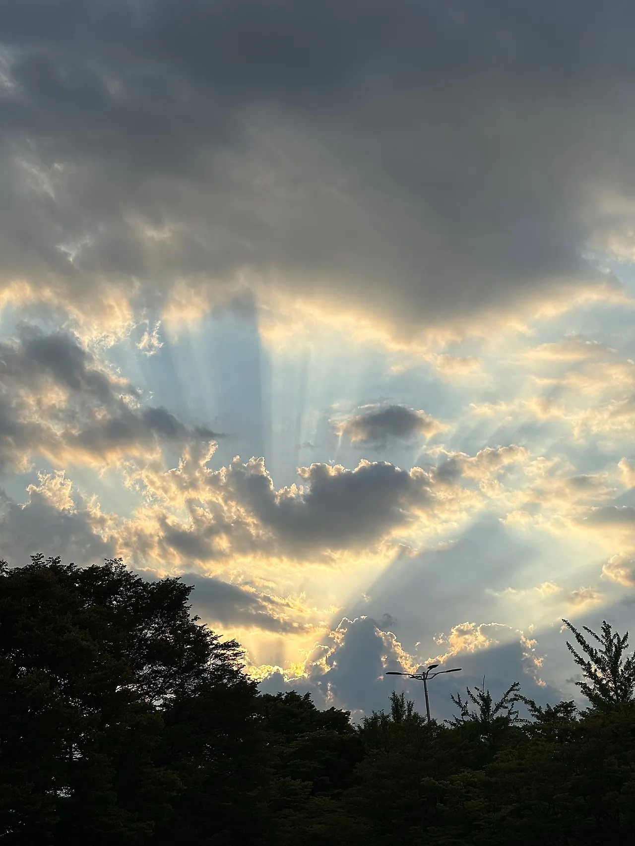 IMG_1010.jpeg?type=w1600