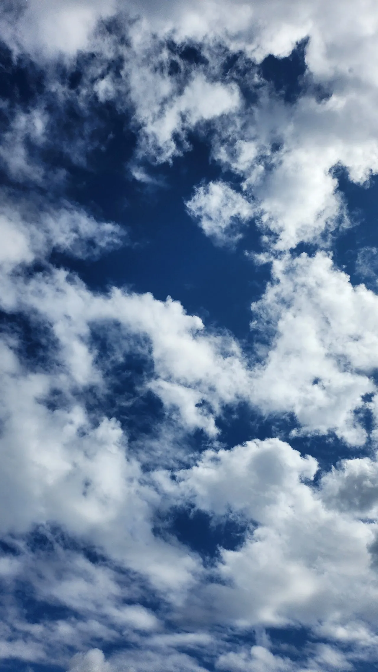 20240922%EF%BC%BF141356.jpg?type=w1600