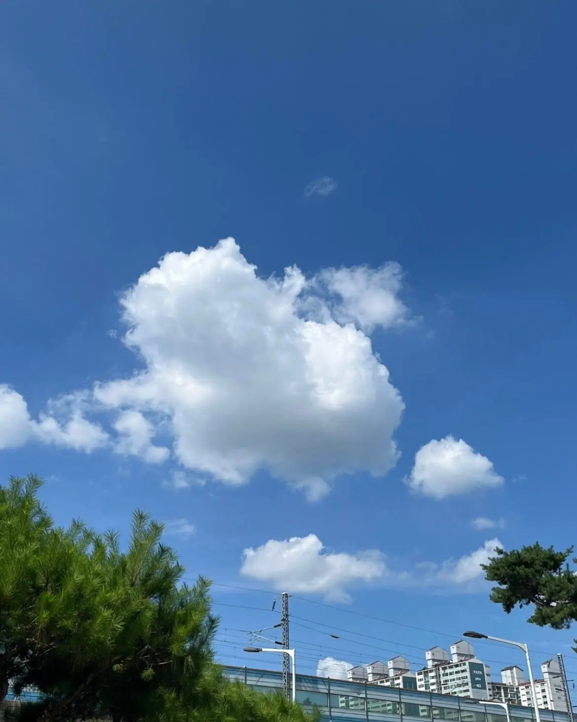 IMG_5299.jpg?type=w1600