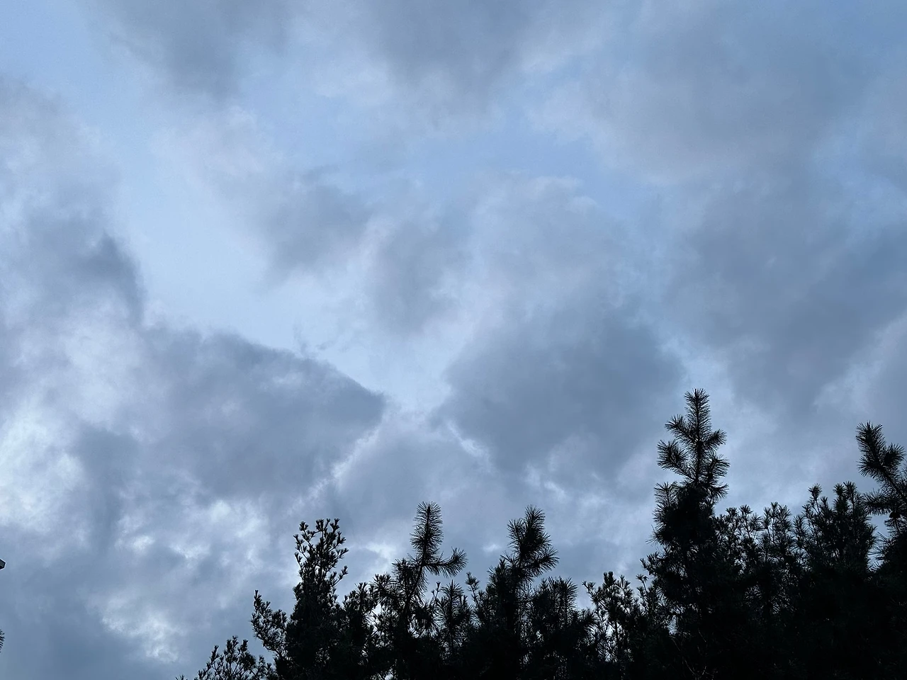 IMG_4211.jpeg?type=w1600