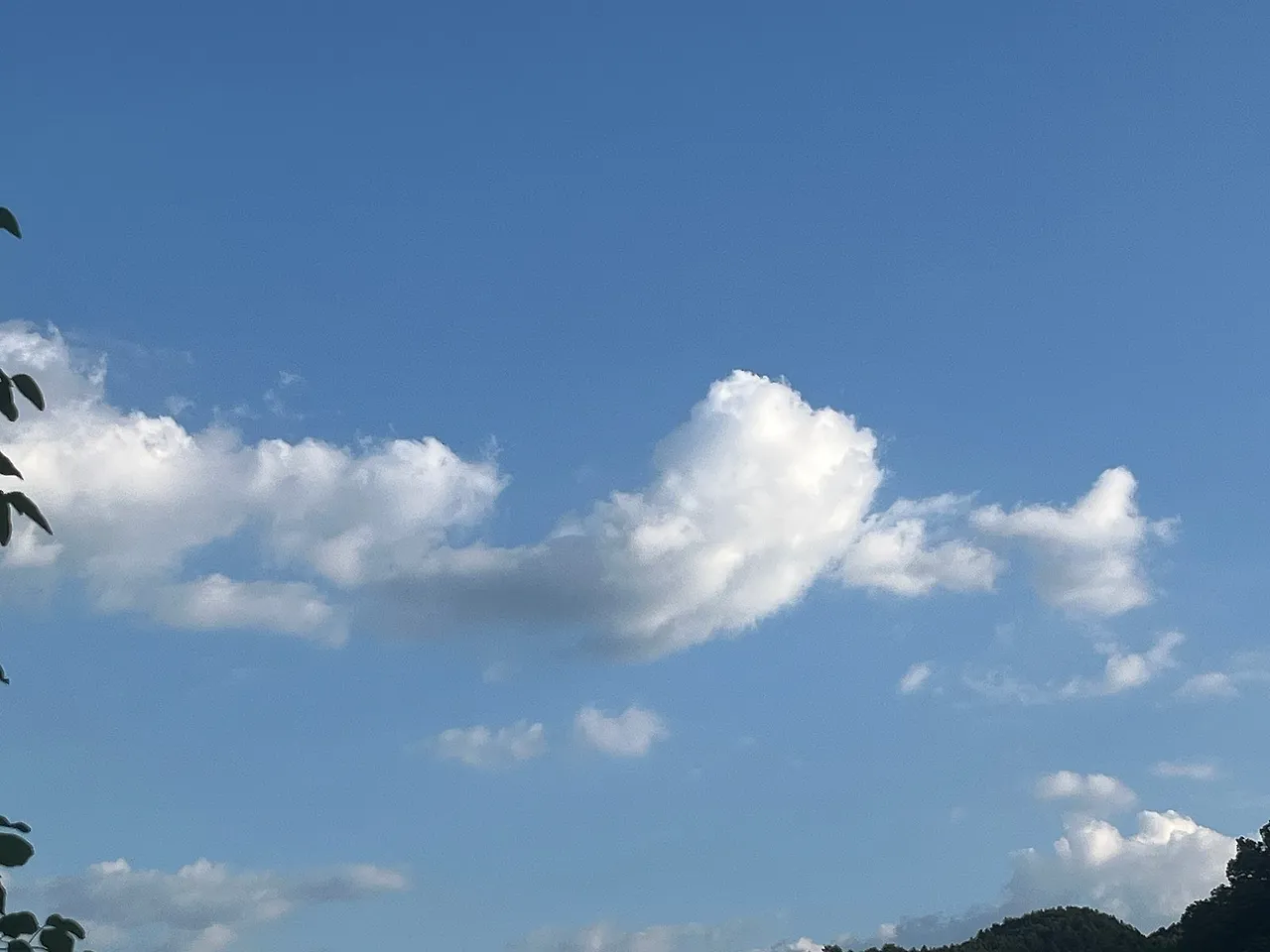 IMG_4629.jpg?type=w1600